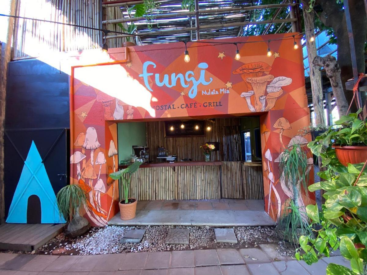 Fungi Tipis Hotel Tepoztlan Exterior photo